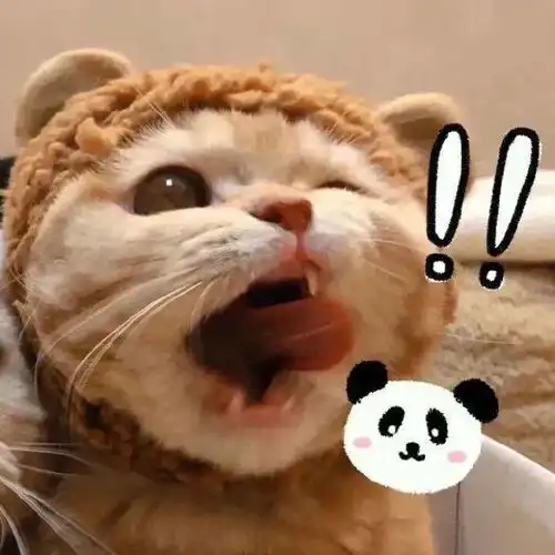  今日头像丨你才是我的白月光