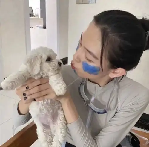 女生头像少女和狗狗的故事
