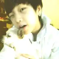  想找一对情侣头像,一男一女,都抱着猫,或者狗狗