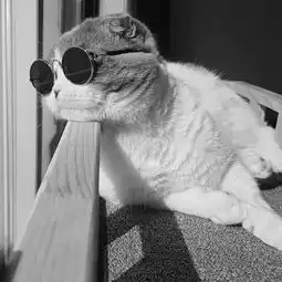  这张图片看着伤感吗