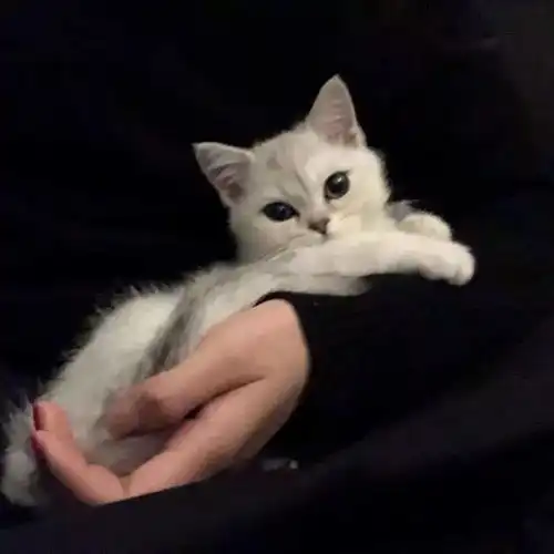  微信头像丨萌宠萌娃,个性搞怪头像,情侣头像