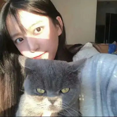  女生抱猫头像高清图片2020女生抱着猫很酷的头像
