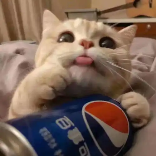  情头身边人来人往,希望我们还是我们