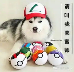  给喜欢的人发信息对方不回是怎样一种体验