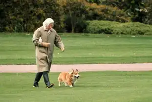  接见完新首相女王迫不及待进入暑假模式遛狗骑马美滋滋