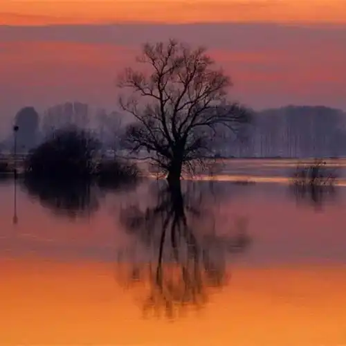  男人的格局,女人的品质,就是家庭的风水