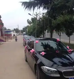  婚车队,哪对情侣需要结婚请找本公