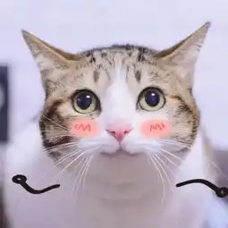 熊孩子,别欺负我的猫