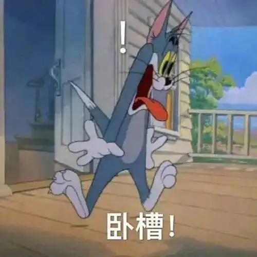  猫兄弟先天笨拙,被主人撵出家门,最终幸运找到快乐老家