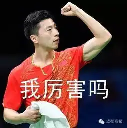  别争了张继科是马龙的