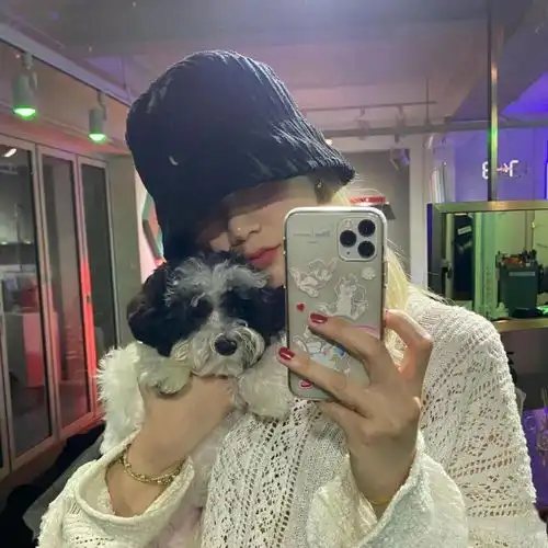  精选头像丨多款精选男女生头像