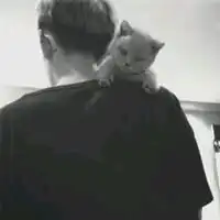  204颜夕楼兰忆北段段冠视频直播全集204颜夕楼兰忆北段段冠资料大全yy官方