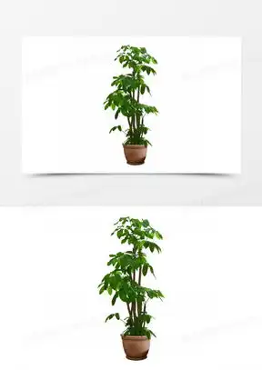  发财树的图片可爱头像大全熊猫办公