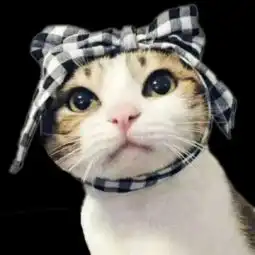  不会ps,谁帮我抠个图,我要做半透明微信头像的