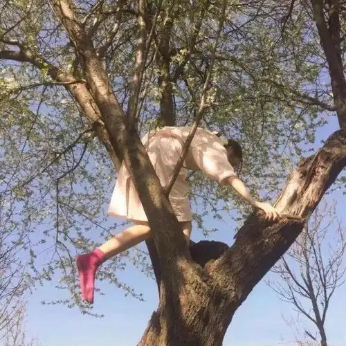  背景图我觉得我有点好看,你不觉得也行,随便你