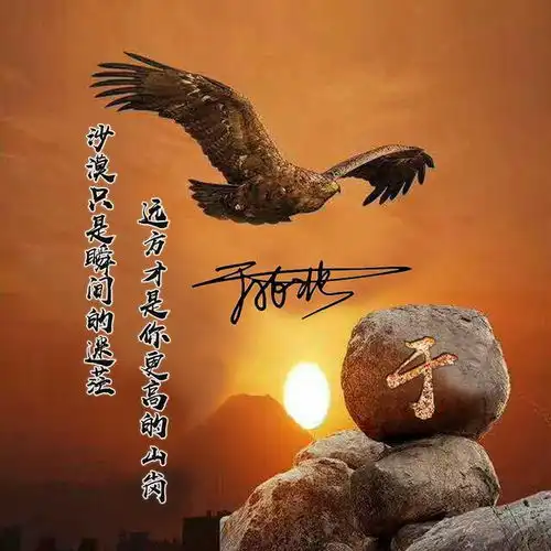 你该换个微信头像了,雄鹰展翅鹏程万里姓氏头像,请查收带走
