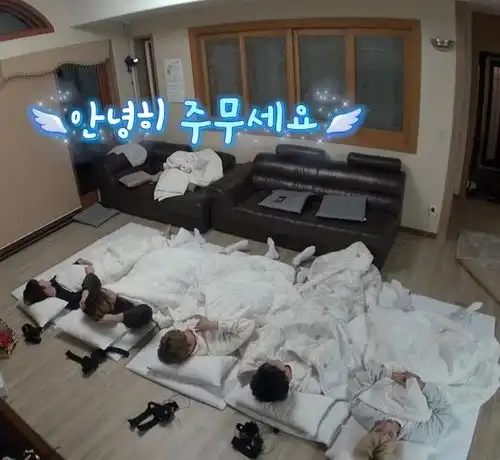  准奎准的垃圾袋