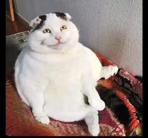 这么体贴的媳妇这年头少有了