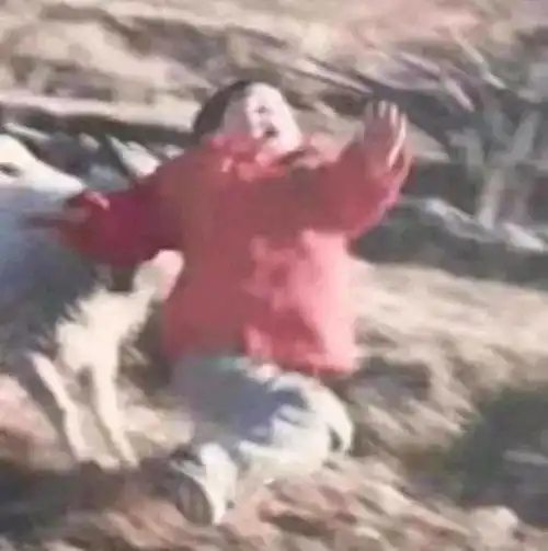  巨好看的情侣头像来咯