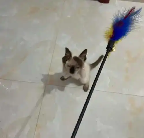 全世界的闺蜜聊天都是这样的吗哈哈哈哈哈哈哈过于真实了