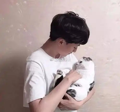  当你照镜子不帅建议换这20款男生短发