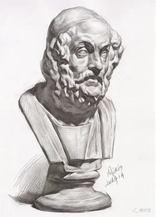  常见石膏素描头像照片结构完整