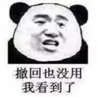  撤回消息表情包图片大全微信头像图片大全