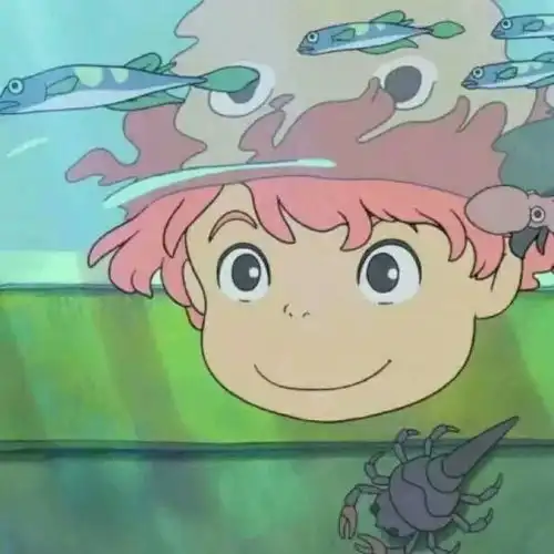  宋仲基宋慧乔离婚两个人合不合适,看这五点就知道了