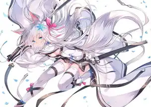  美图