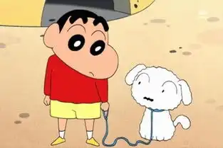  一只长得像蜡笔小新的狗,浓眉大眼的,啥品种