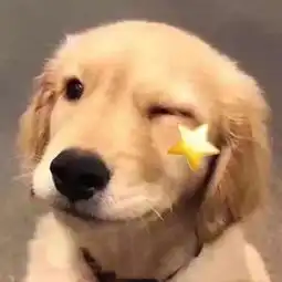  天气丨最高温直冲20沈城气温一路上升,不做百变大姑娘