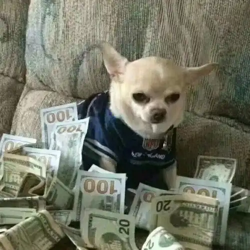  情头顺着夏风去找你