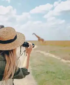  别去打扰一个不愿意理你的人