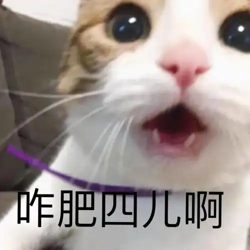  表情包抱歉,我的美貌给你带来负担了