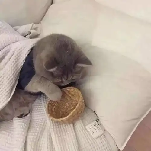  你总会遇到一个人恰如其分的适合你