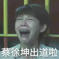  蔡少芬普通话表情包微信头像图片大全