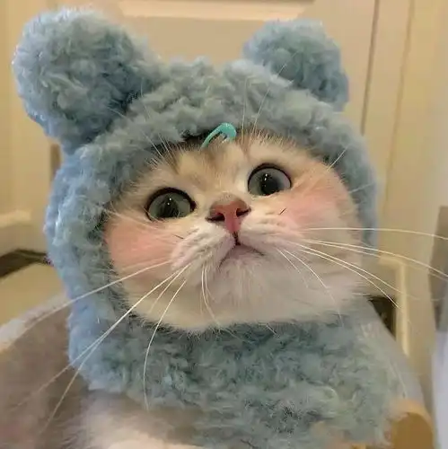 今日头像友情是没带戒指的爱情