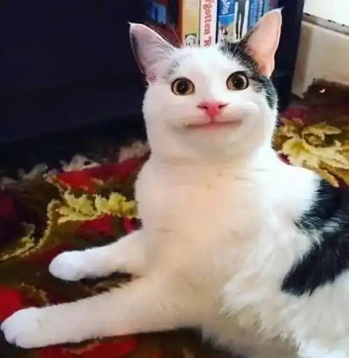  欢笑集锦我喜欢一个女生,就买了一款情侣装送给她