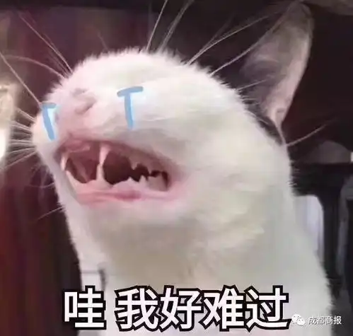  答错一题扣41分这所高校的送命题看哭大学生