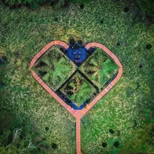  森林深处徒手建家,这对情侣裸辞后的生活羡慕哭900万人