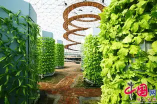  丽水市农林院农业智能化快繁中心,气雾栽培,气雾培,鸟巢温室,克隆,植物克隆,克隆技术,植物非试管快繁技术,鱼菜共生,丽水农林院