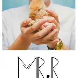  你的齐天大圣在来的路上,别被野猴子迷了眼