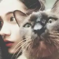  求这个图片的另一半这应该是个情侣头