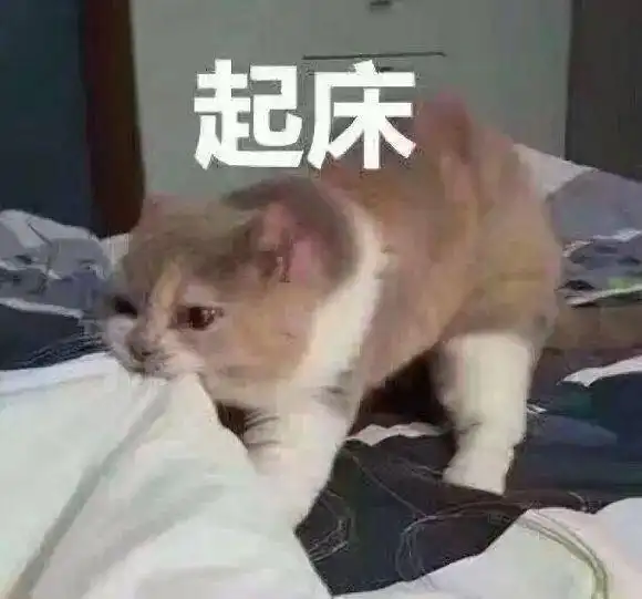  沙雕表情包