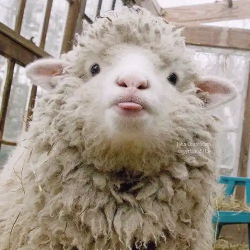  有nt喜欢运动跳舞嘛