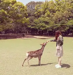  两个快乐的2b中年情侣浪迹霓虹国关西之行