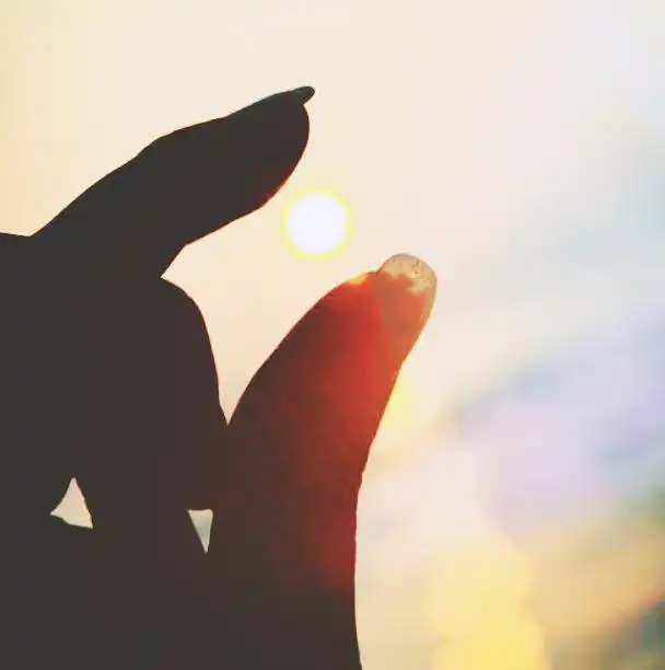  这个星座的男生多数为爱情高手,女生多刚强,你对它有抵御力吗