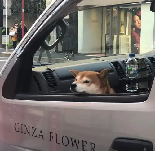  朋友圈日常文案