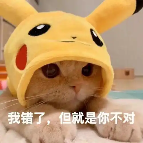  一些好看的猫猫表情包