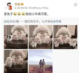  女明星怎么过情人节